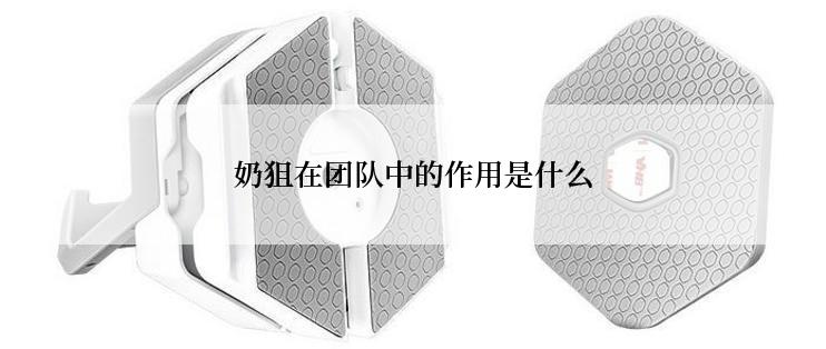 奶狙在团队中的作用是什么