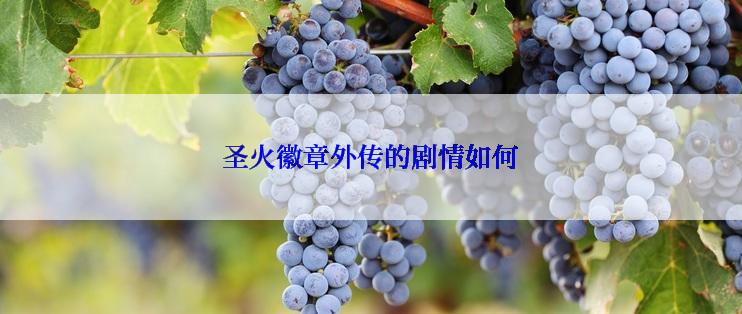 圣火徽章外传的剧情如何