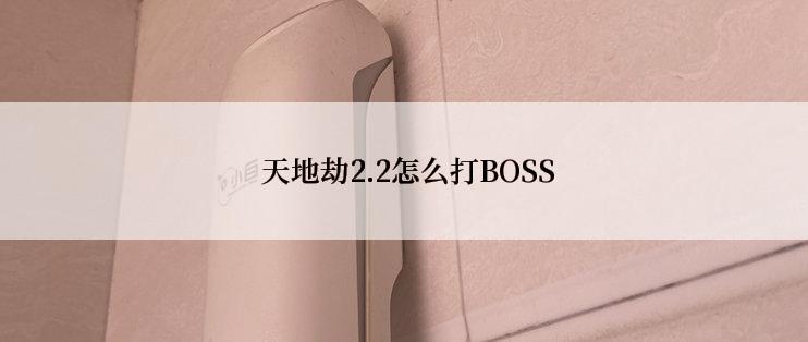  天地劫2.2怎么打BOSS