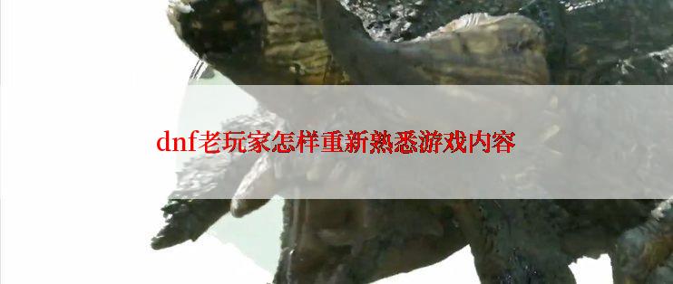 dnf老玩家怎样重新熟悉游戏内容