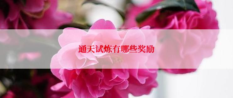 通天试炼有哪些奖励