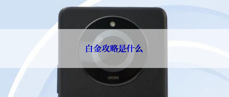 白金攻略是什么