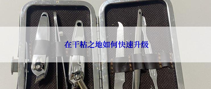  在干枯之地如何快速升级