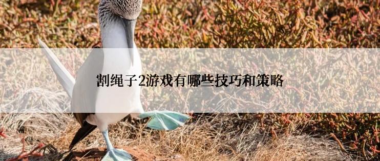 割绳子2游戏有哪些技巧和策略