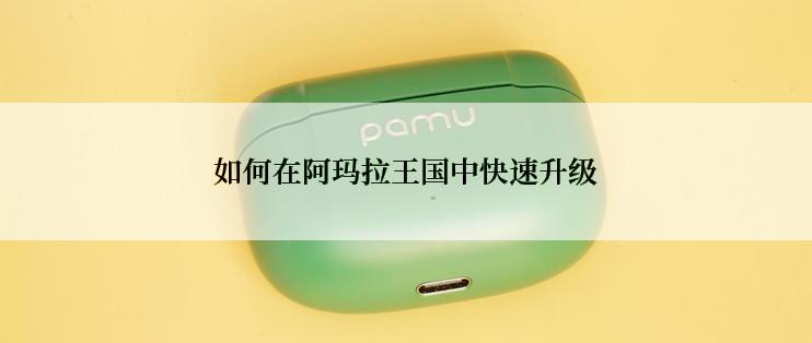 如何在阿玛拉王国中快速升级