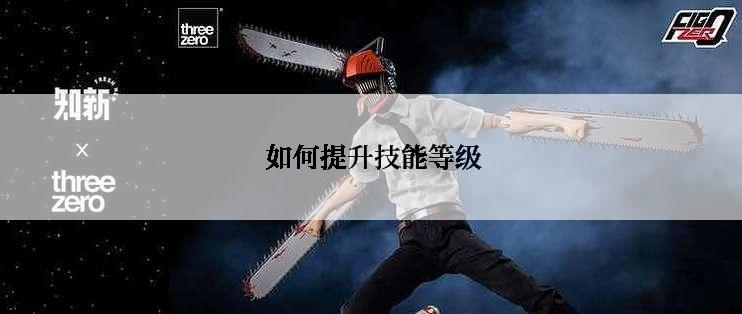  如何提升技能等级