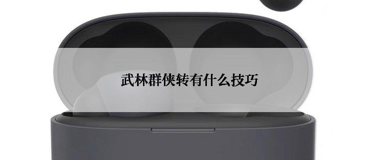 武林群侠转有什么技巧