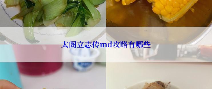 太阁立志传md攻略有哪些