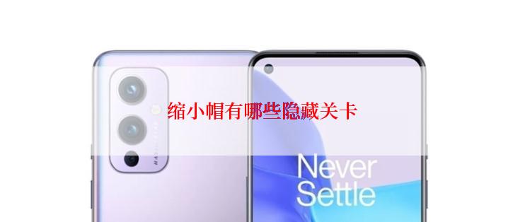 缩小帽有哪些隐藏关卡