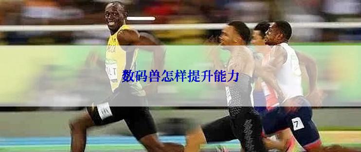 数码兽怎样提升能力