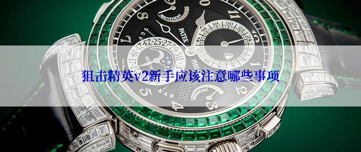 狙击精英v2新手应该注意哪些事项