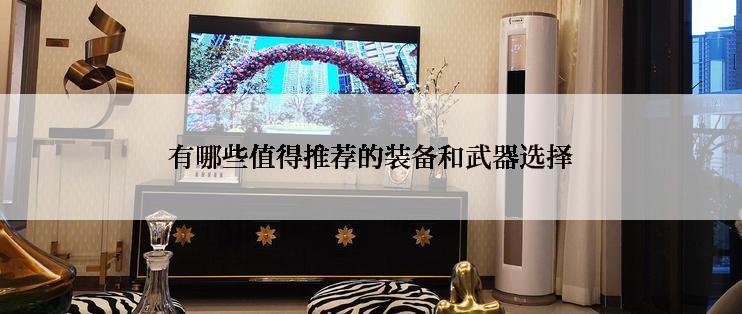 有哪些值得推荐的装备和武器选择