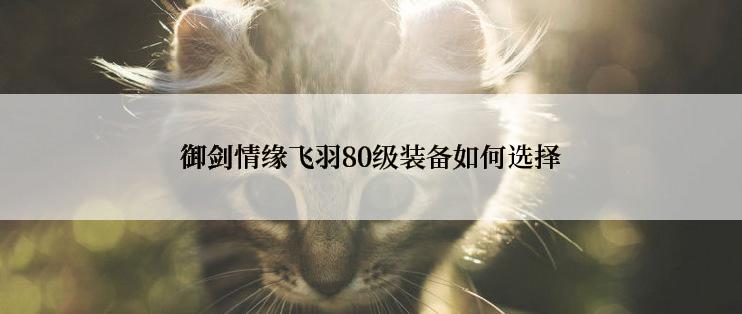 御剑情缘飞羽80级装备如何选择