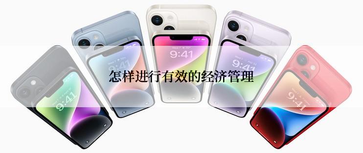 怎样进行有效的经济管理