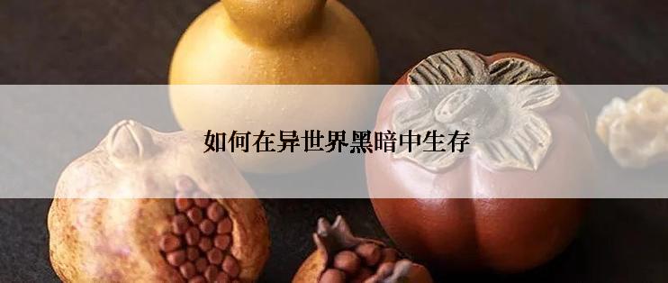  如何在异世界黑暗中生存