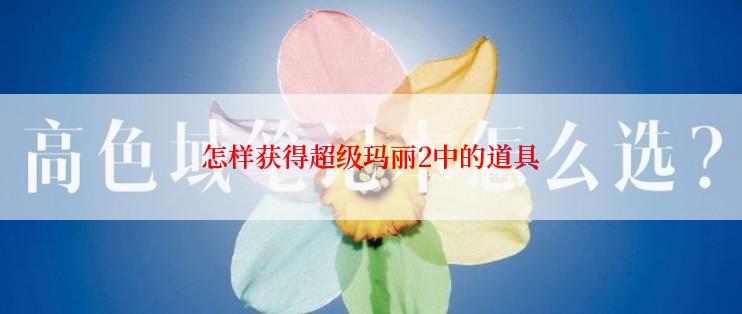 怎样获得超级玛丽2中的道具