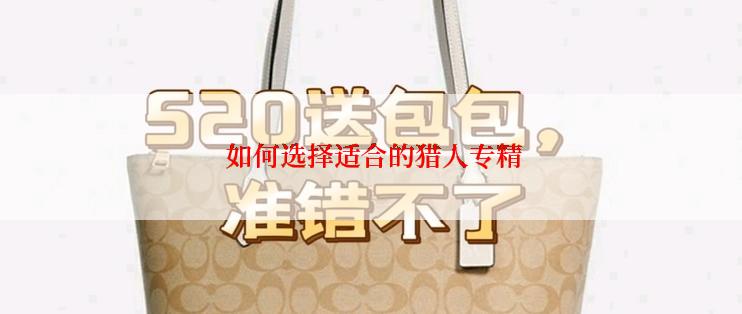 如何选择适合的猎人专精