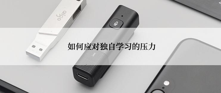 如何应对独自学习的压力