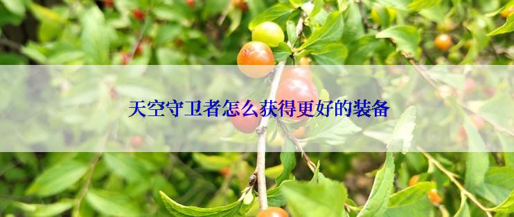  天空守卫者怎么获得更好的装备