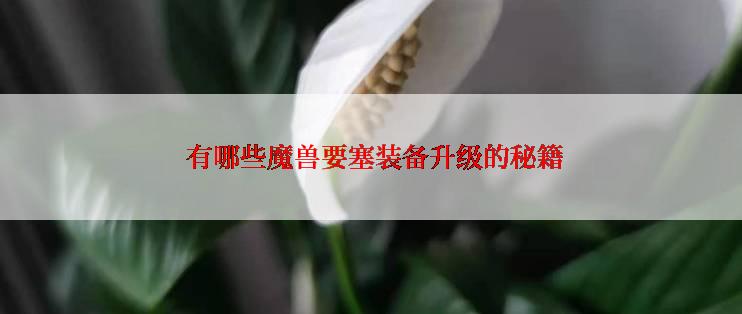  有哪些魔兽要塞装备升级的秘籍