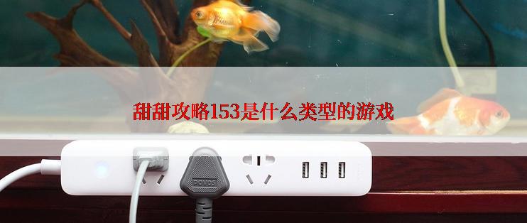 甜甜攻略153是什么类型的游戏