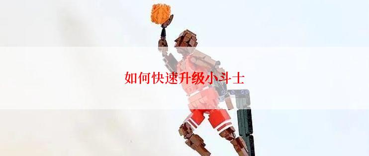如何快速升级小斗士