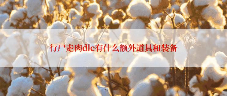 行尸走肉dlc有什么额外道具和装备