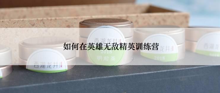  如何在英雄无敌精英训练营