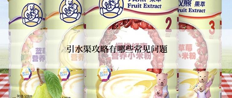  引水渠攻略有哪些常见问题