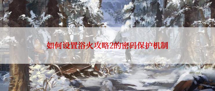 如何设置浴火攻略2的密码保护机制