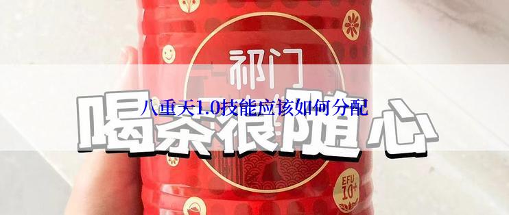 八重天1.0技能应该如何分配