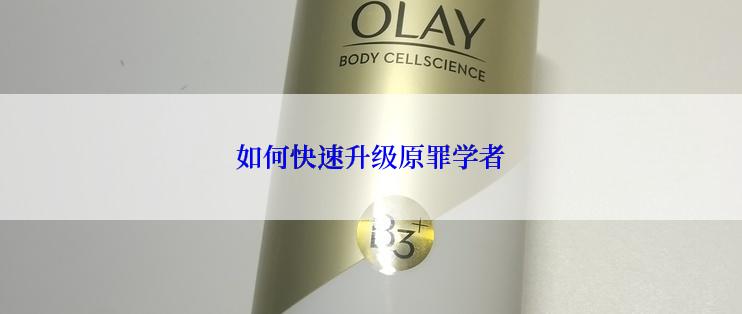 如何快速升级原罪学者