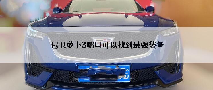 包卫萝卜3哪里可以找到最强装备