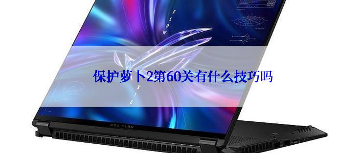 保护萝卜2第60关有什么技巧吗
