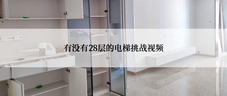 有没有28层的电梯挑战视频
