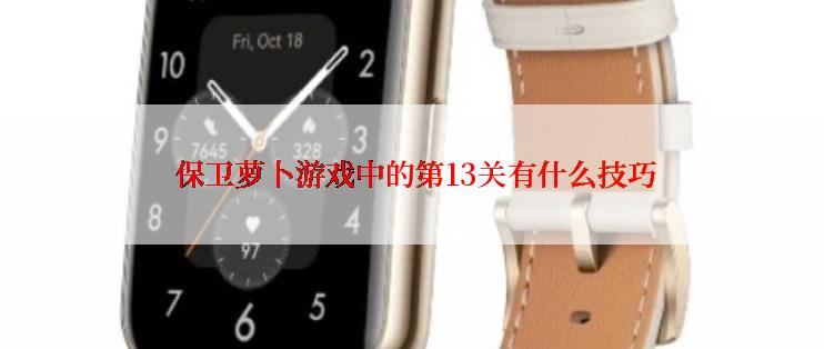  保卫萝卜游戏中的第13关有什么技巧