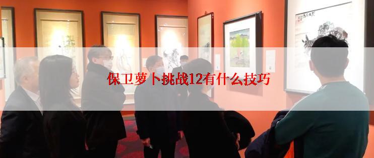  保卫萝卜挑战12有什么技巧