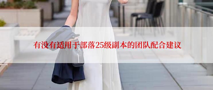  有没有适用于部落25级副本的团队配合建议
