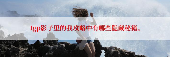 tgp影子里的我攻略中有哪些隐藏秘籍。