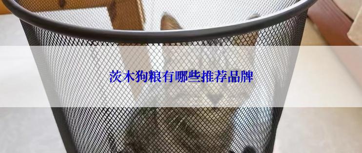 茨木狗粮有哪些推荐品牌