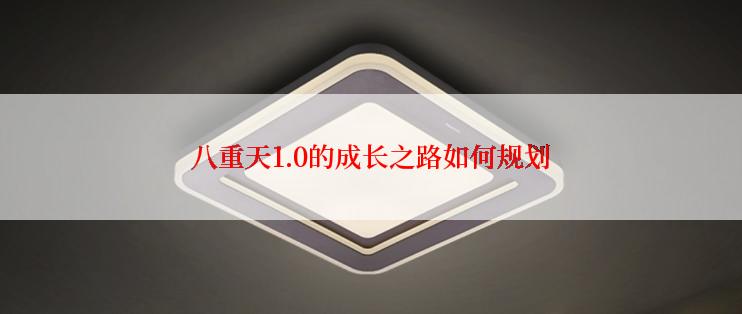 八重天1.0的成长之路如何规划