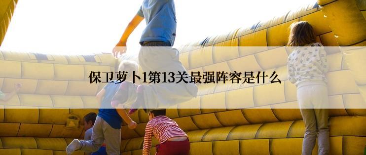 保卫萝卜1第13关最强阵容是什么