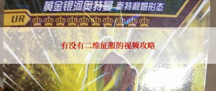 有没有二维征服的视频攻略