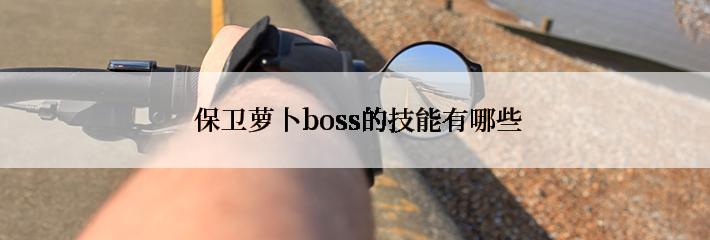  保卫萝卜boss的技能有哪些
