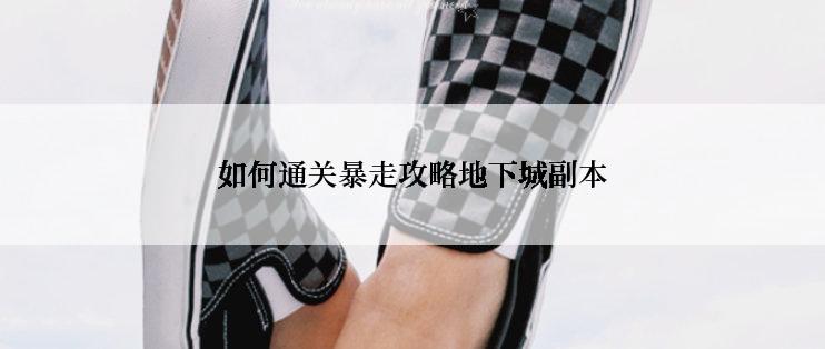 如何通关暴走攻略地下城副本