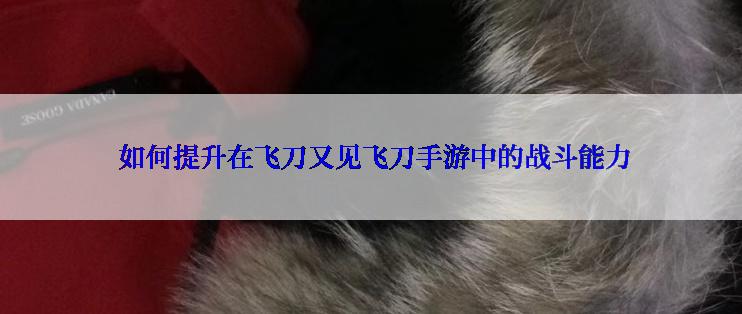  如何提升在飞刀又见飞刀手游中的战斗能力