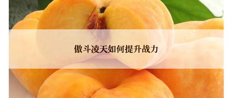 傲斗凌天如何提升战力