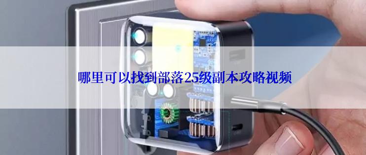  哪里可以找到部落25级副本攻略视频