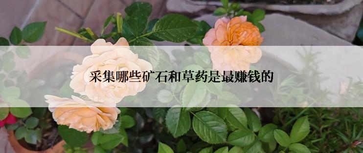 采集哪些矿石和草药是最赚钱的