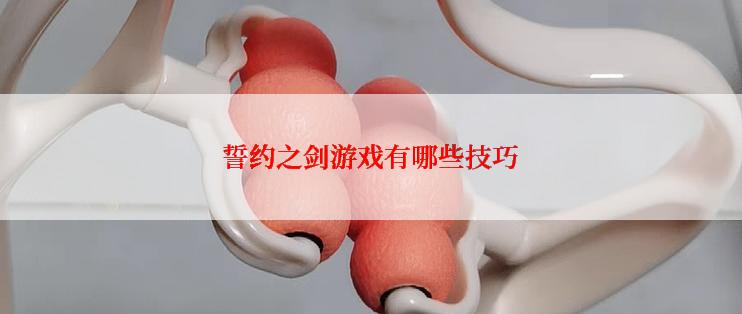 誓约之剑游戏有哪些技巧